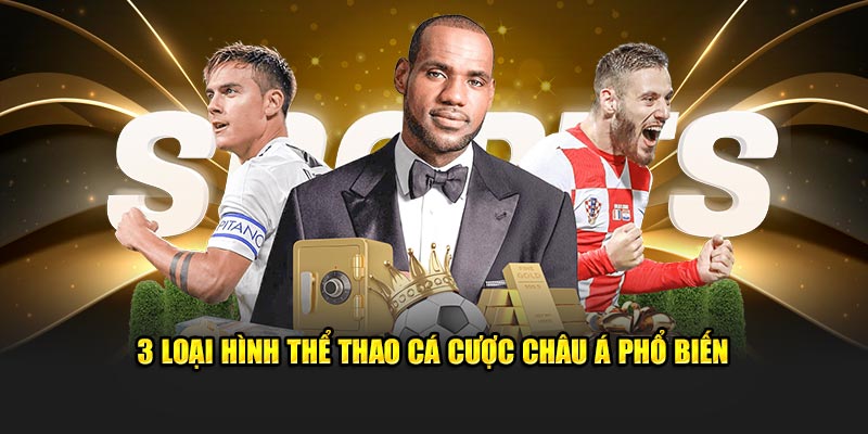 3 loại hình thể thao cá cược Châu Á phổ biến
