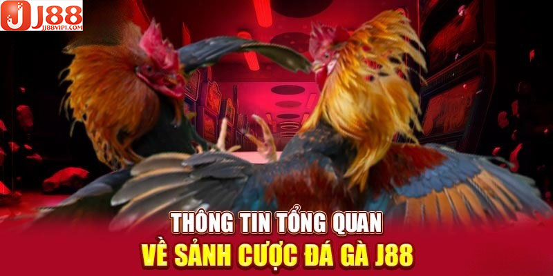 Đá gà là sảnh cược đặc biệt, góp phần tạo nên sức hút cho sân chơi